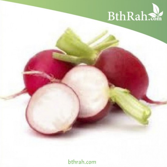 بذور فجل احمر - Raphanus raphanistrum subsp. sativus بذور فجل احمر - Raphanus raphanistrum subsp. sativus