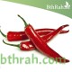 بذور فلفل حار - Capsicum annuum بذور فلفل حار - Capsicum annuum