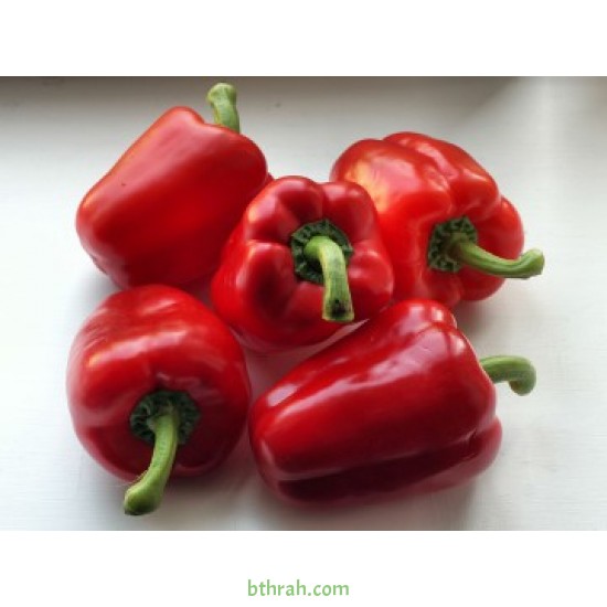 بذور فلفل رومي - Capsicum annuum بذور فلفل رومي - Capsicum annuum
