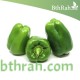 بذور فلفل رومي - Capsicum annuum بذور فلفل رومي - Capsicum annuum