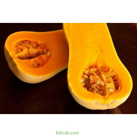 بذور قرع امريكي - Cucurbita pepo بذور قرع امريكي - Cucurbita pepo
