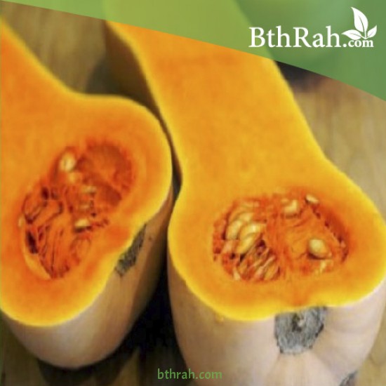 بذور قرع امريكي - Cucurbita pepo بذور قرع امريكي - Cucurbita pepo