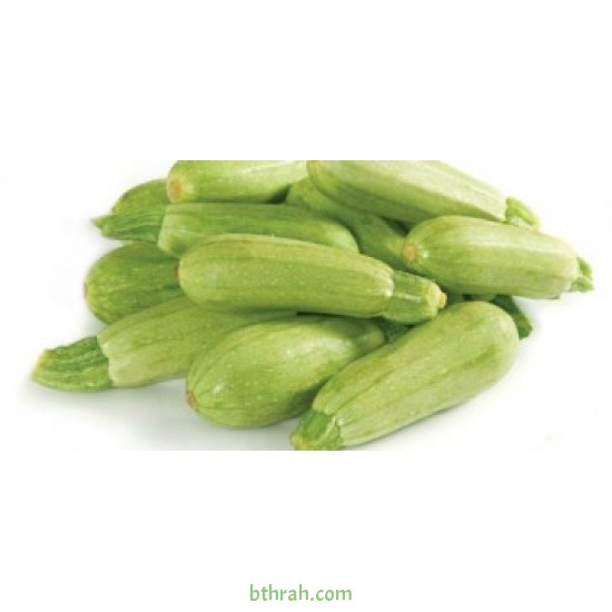 بذور الكوسة(Cucurbita pepo var. cylindrica) بذور الكوسة(Cucurbita pepo var. cylindrica)