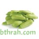 بذور الكوسة(Cucurbita pepo var. cylindrica) بذور الكوسة(Cucurbita pepo var. cylindrica)