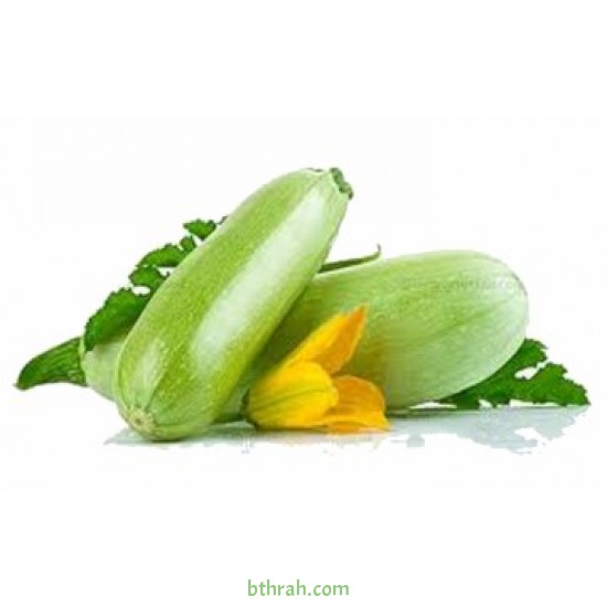 بذور الكوسة(Cucurbita pepo var. cylindrica) بذور الكوسة(Cucurbita pepo var. cylindrica)