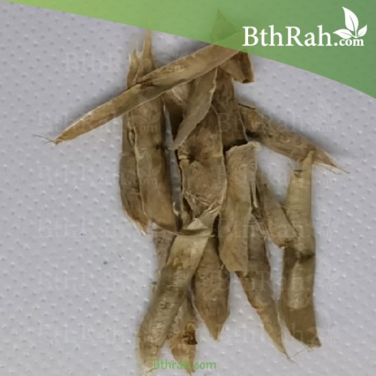 بذور شجرة الكتالبا - Catalpa بذور شجرة الكتالبا - Catalpa
