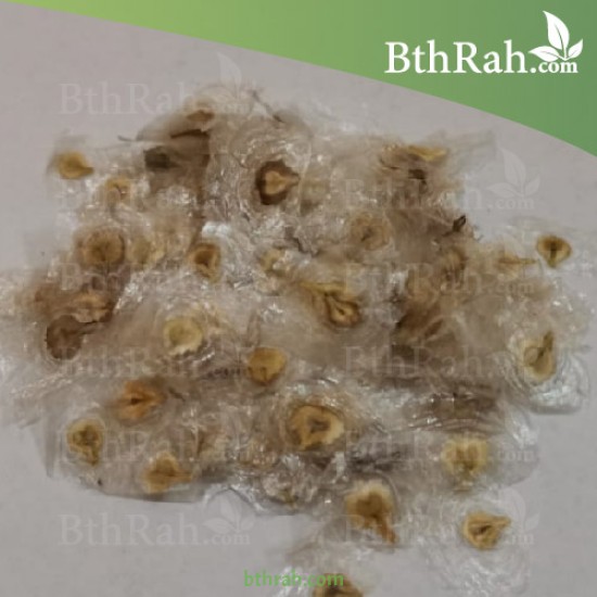 بذور شجرة الخزامى الأفريقية Spathodea campanulata بذور شجرة الخزامى الأفريقية Spathodea campanulata