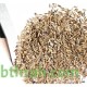 بذور زهرة استر Aster بذور زهرة استر Aster