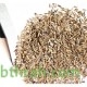 بذور زهرة استر (Aster) بذور زهرة استر (Aster)