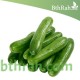 بذور الخيار - Cucumis sativus بذور الخيار - Cucumis sativus