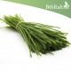 بذور كراث - Allium ampeloprasum var. porrum بذور كراث - Allium ampeloprasum var. porrum