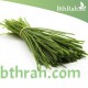 بذور كراث - Allium ampeloprasum var. porrum بذور كراث - Allium ampeloprasum var. porrum