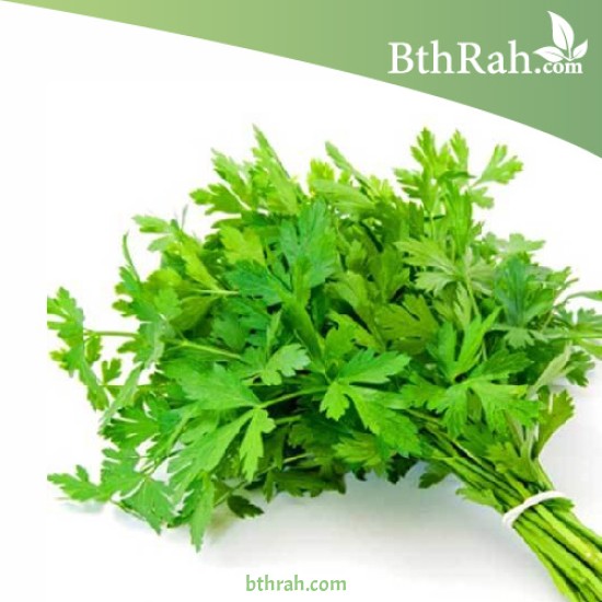 بذور البقدونس - Petroselinum crispum
