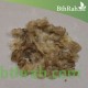 بذور الروثة الرعوية Salsola villosa بذور الروثة الرعوية Salsola villosa