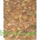بذور شجـرة اللبخ الاحمر-ألبيزيا زهرة الحريرAlbizia julibrissin بذور شجـرة اللبخ الاحمر-ألبيزيا زهرة الحريرAlbizia julibrissin