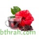 بذور شجيرة الكركديه “الهيبسكوس” Hibiscus sabdariffa بذور شجيرة الكركديه “الهيبسكوس” Hibiscus sabdariffa
