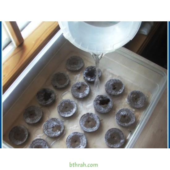 10 أقراص البيتموس المضغوط ( Jiffy Peat Pellets ) 10 أقراص البيتموس المضغوط ( Jiffy Peat Pellets )