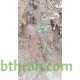 بذور المرخ (Leptadenia pyrotechnica)