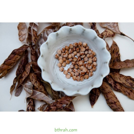 بذور اللوبيا العدسية (رعوية) Begun pea بذور اللوبيا العدسية (رعوية) Begun pea