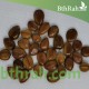 بذور شجرة كاسيا فستيولا(خيار شمبر) Cassia fistula بذور شجرة كاسيا فستيولا(خيار شمبر) Cassia fistula