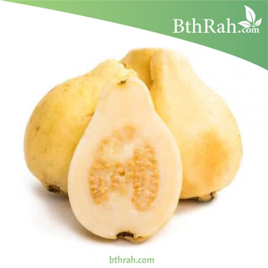 بذور الجوافة الصفراء - Psidium guajava بذور الجوافة الصفراء - Psidium guajava