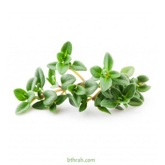 بذور عشبة الزعتر - Thyme بذور عشبة الزعتر - Thyme