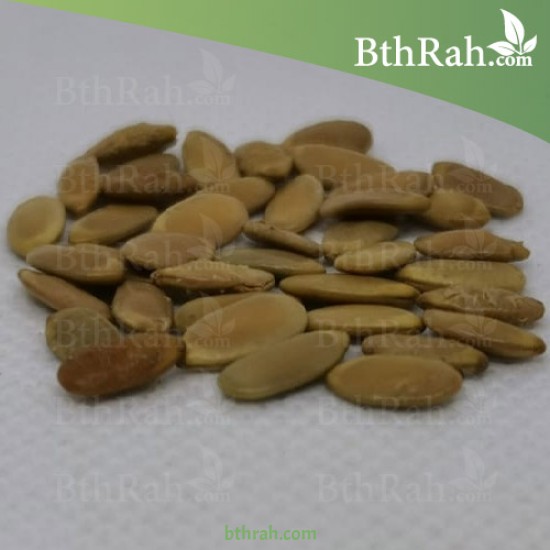 بذور شجرة البلتفورم-البونسيانا الصفراء- Peltophorum Pterocarpum بذور شجرة البلتفورم-البونسيانا الصفراء- Peltophorum Pterocarpum