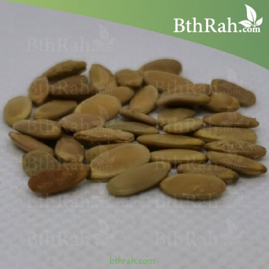 بذور شجرة البلتفورم - Peltophorum Pterocarpum بذور شجرة البلتفورم - Peltophorum Pterocarpum