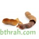 بذور تمر هندي ( Tamarindus indica ) بذور تمر هندي ( Tamarindus indica )