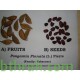 بذور البونجاميا - Derris Indica بذور البونجاميا - Derris Indica