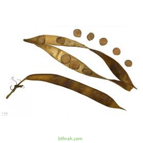 بذور البونجاميا - Derris Indica بذور البونجاميا - Derris Indica