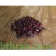 بذور الجوجوبا - Simmondsia chinensis بذور الجوجوبا - Simmondsia chinensis
