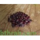 بذور الجوجوبا - Simmondsia chinensis