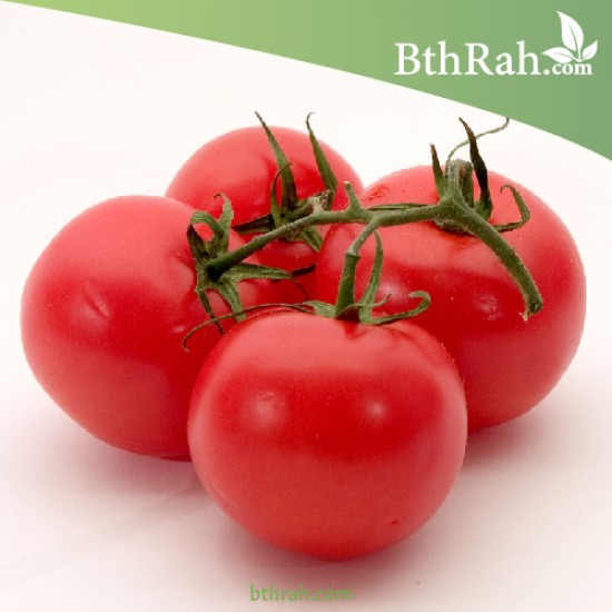بذور الطماطم - Solanum lycopersicum