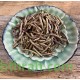 النيلة الزرقاء - Indigofera النيلة الزرقاء - Indigofera