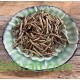 النيلة الزرقاء - Indigofera النيلة الزرقاء - Indigofera