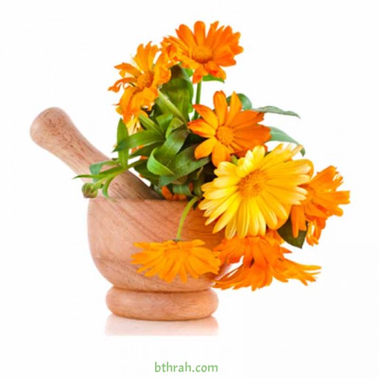 بذور زهور الكلانديولا ( Calendula officinalis ) بذور زهور الكلانديولا ( Calendula officinalis )