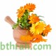بذور زهور الكلانديولا ( Calendula officinalis ) بذور زهور الكلانديولا ( Calendula officinalis )