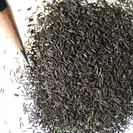 بذور زهرة الرودبيكا(rudbeckia) بذور زهرة الرودبيكا(rudbeckia)