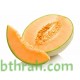 بذور شمام - Cucumis melo var. cantalupensis بذور شمام - Cucumis melo var. cantalupensis