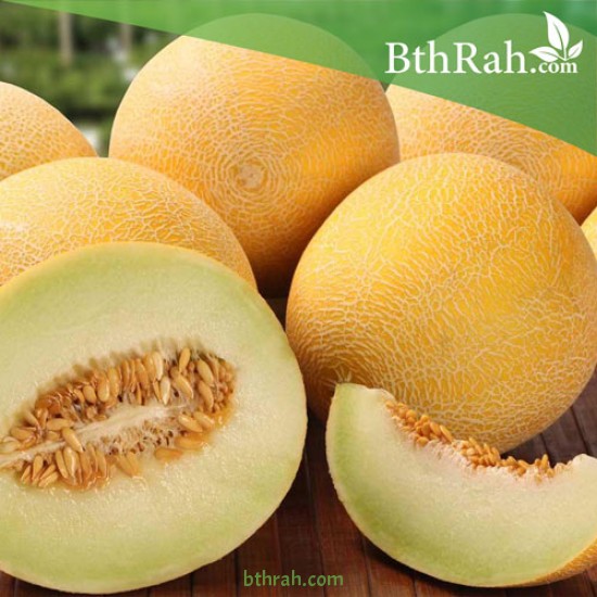 بذور شمام - Cucumis melo var. cantalupensis بذور شمام - Cucumis melo var. cantalupensis