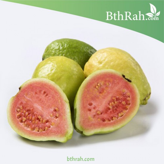بذور الجوافة الحمراء - Psidium guajava بذور الجوافة الحمراء - Psidium guajava