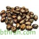 بذور شجرة الخروع - Ricinus communis بذور شجرة الخروع - Ricinus communis