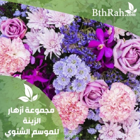 عرض مجموعة نباتات الزينة الشتوية خصم 15%+مراكن هدية عرض مجموعة نباتات الزينة الشتوية خصم 15%+مراكن هدية