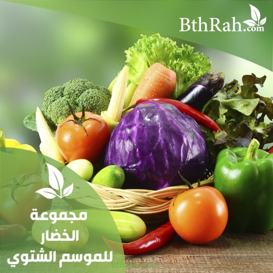 عرض نباتات الخضروات الشتوية بخصم مميز 15% + عدد 20 مركن هدية عرض نباتات الخضروات الشتوية بخصم مميز 15% + عدد 20 مركن هدية