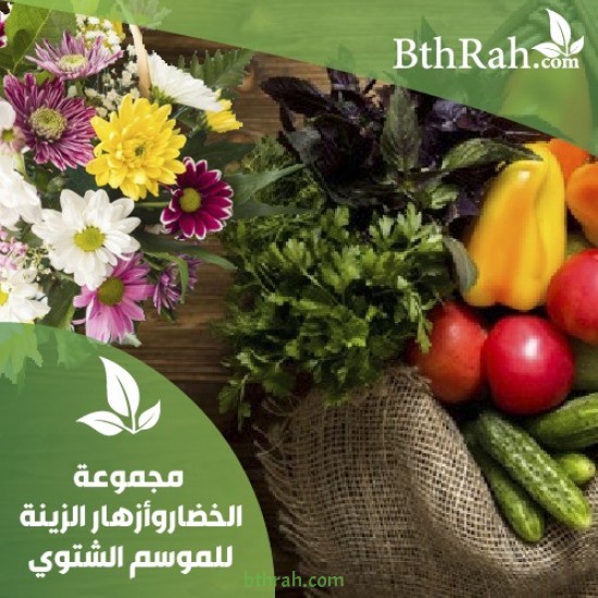 عرض منوع من بذور نباتات الخضروات و الزينة خصم 15% عرض منوع من بذور نباتات الخضروات و الزينة خصم 15%