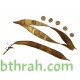 بذور شجرة البوهينيا Bauhinia variegata-خف الجمل بذور شجرة البوهينيا Bauhinia variegata-خف الجمل