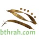 بذور شجرة البوهينيا Bauhinia variegata-خف الجمل بذور شجرة البوهينيا Bauhinia variegata-خف الجمل