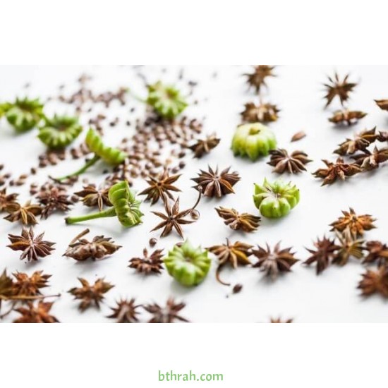 بذور اليانسون Pimpinella anisum بذور اليانسون Pimpinella anisum