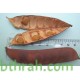 25 بذرة شجيرة سيسالبينيا او شوارب الملك- Caesalpinia pulcherrima 25 بذرة شجيرة سيسالبينيا او شوارب الملك- Caesalpinia pulcherrima